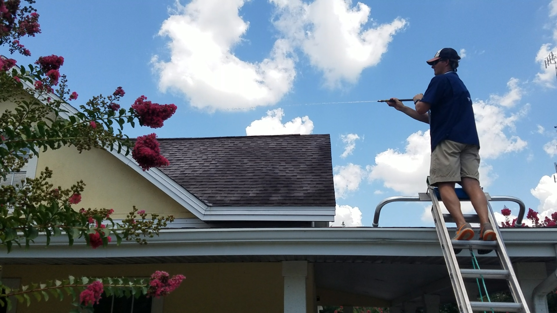Roof Soft Washing