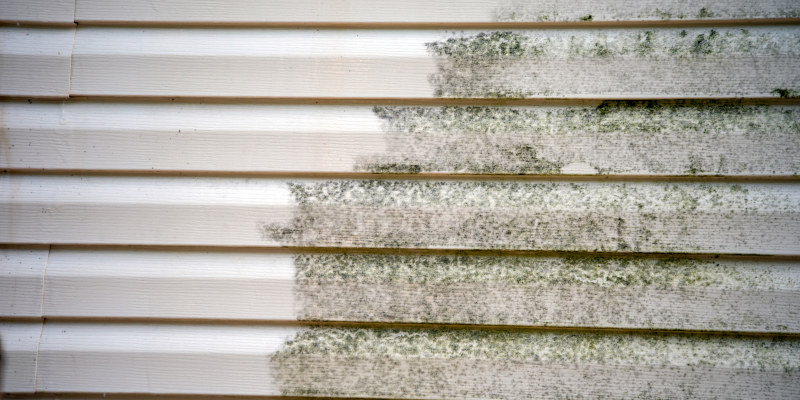Siding Cleaning