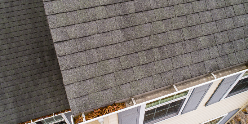 Roof Cleaning 