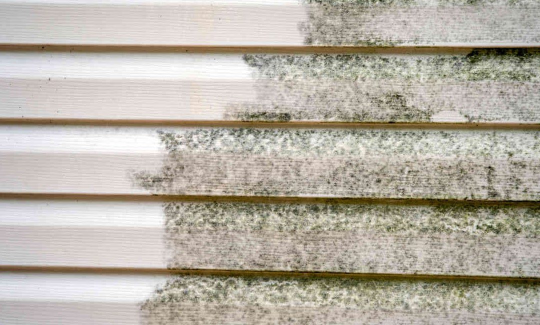 How to Talk to Your Clients About Exterior House Cleaning