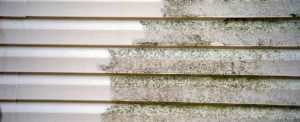 How to Talk to Your Clients About Exterior House Cleaning