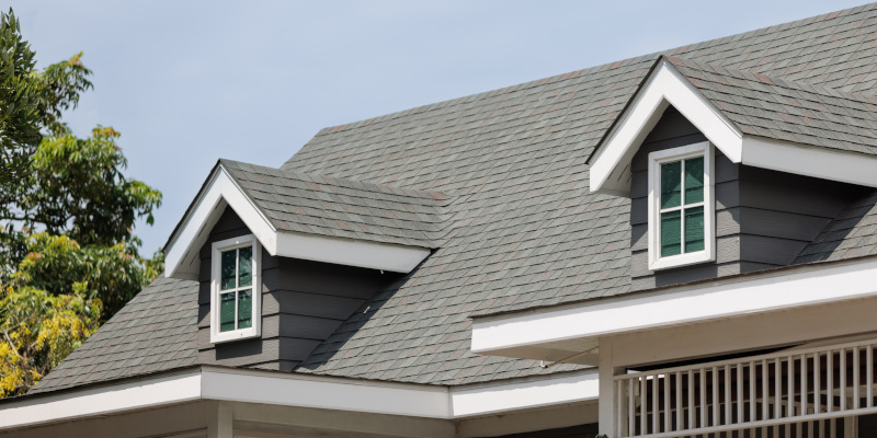 Residential Roof Cleaning