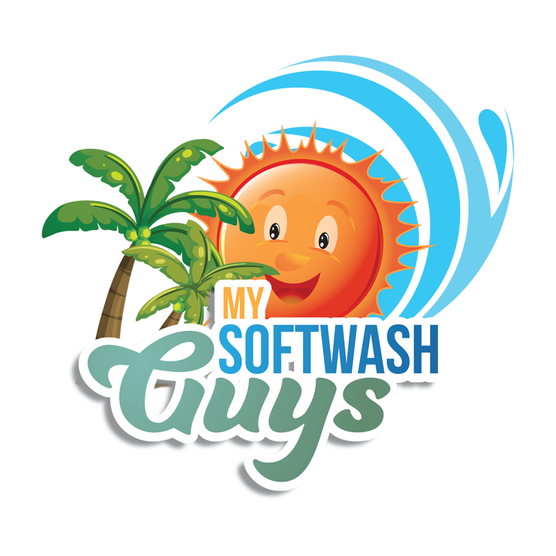 ClearViewSoftWash